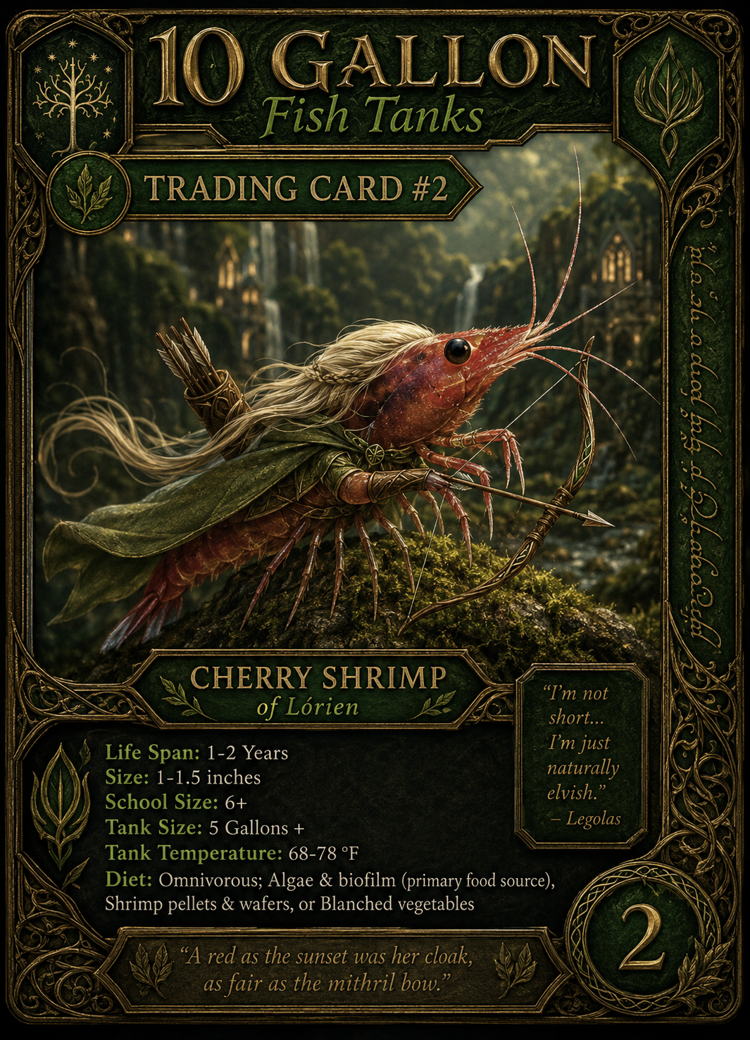 LOTR Card 1