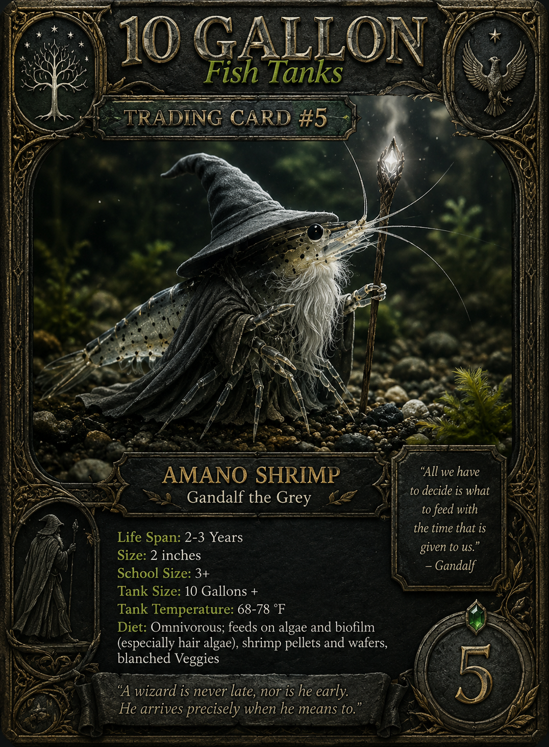 LOTR Card 4