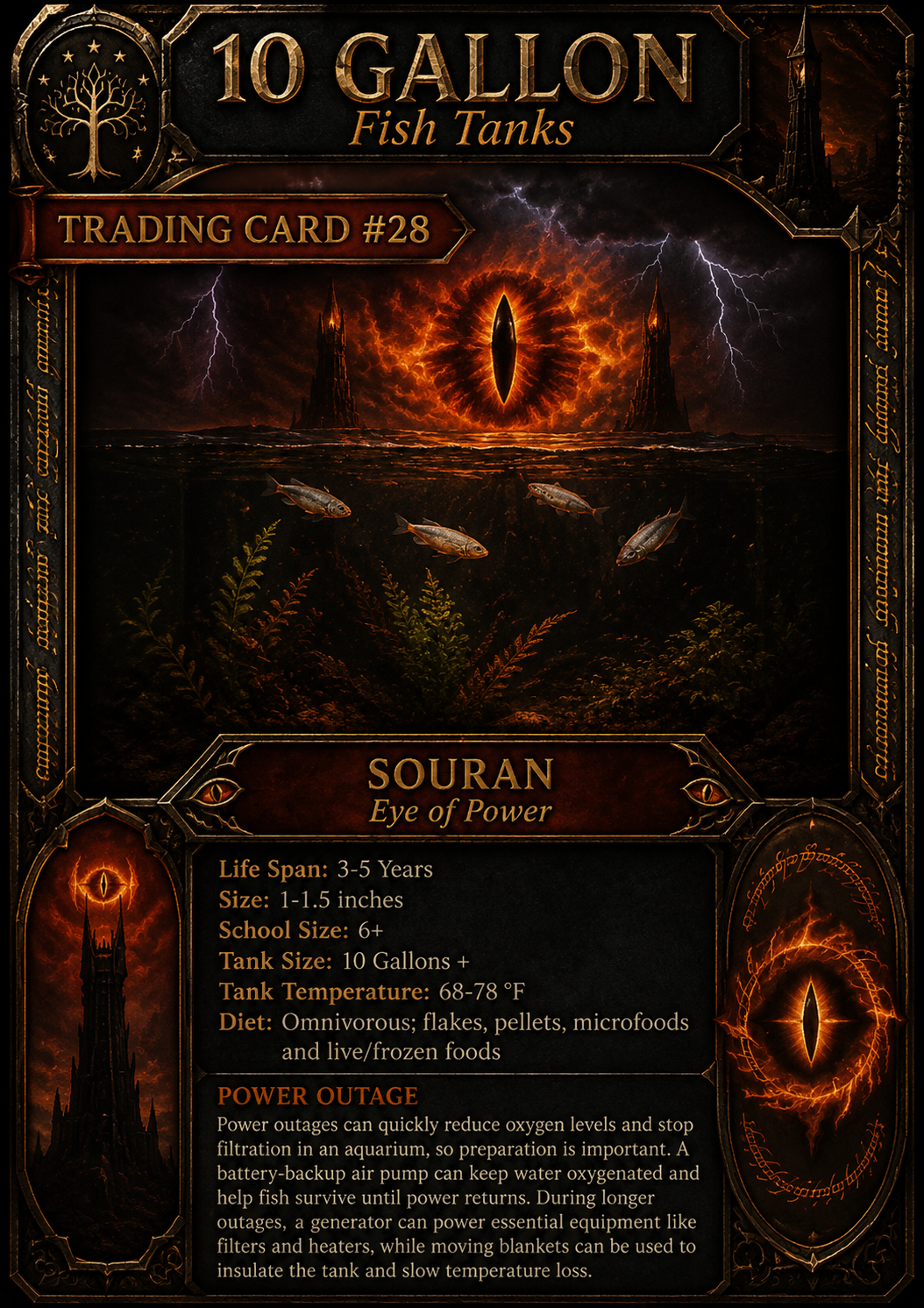 LOTR Card 6